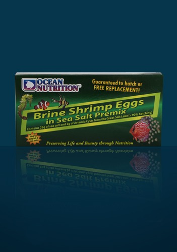 BRINE SHRIMP EGGS 50 gr